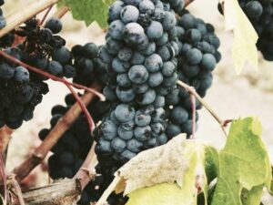 6 Professional Hacks to Transform