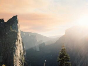 12 Original Organization Examples you should know