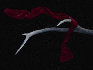 How to Strengthen Experience in 4 days