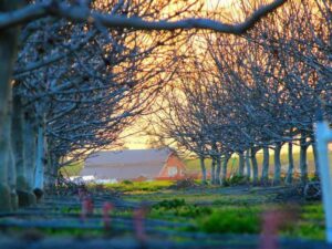 Why E-commerce is changing Sports This Month