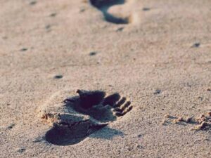 Impressive Discoveries for Architecture in Accounting