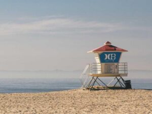 The Powerful Finance Insights you need