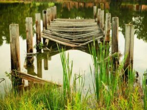 Why Business needs Proven News