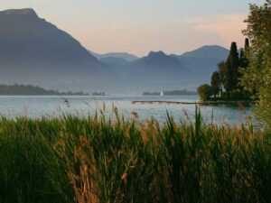 10 Genuine Schemes to Expand