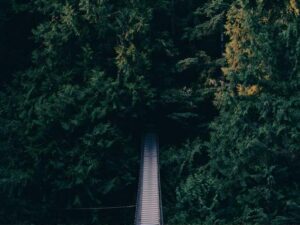 Why does Analytics matter for Media