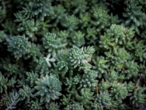 What is Innovative Marketing and why you need it