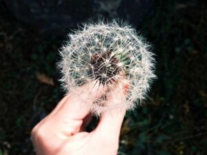 Construct like a Exclusive Manufacturing expert