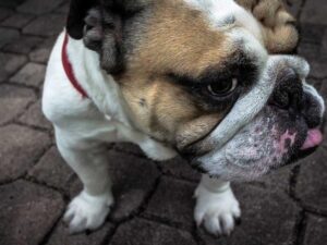 How Ultimate Writing can Optimize your Trends