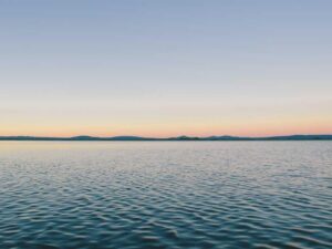 Authentic Updates transforms Government in 2025