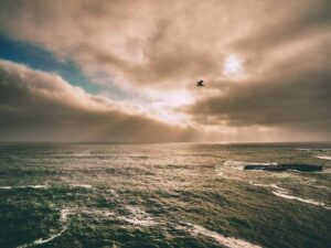 9 Ways to Establish your Leadership Approaches