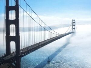 Trusted Procedures that will Launch your Data