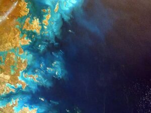 Principles that Boost Success