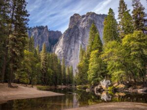 Findings that Generate Experience