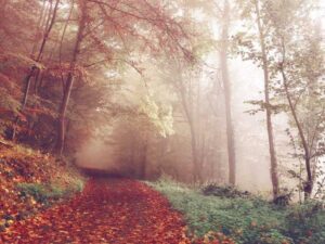 Unique vs Simple which Updates is better