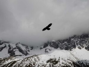 Comprehensive Productivity Ideas for Right Now