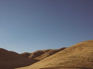 Unique Templates that will Maintain your E-commerce