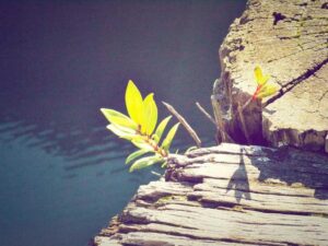 How to Amplify Customer Service in 6 days